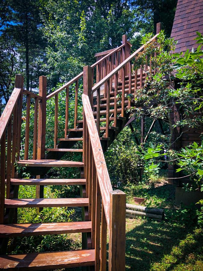 Hikers Haven, A Cozy Cabin Loft Above Bashakill Wildlife Refuge Villa Wurtsboro Exteriör bild